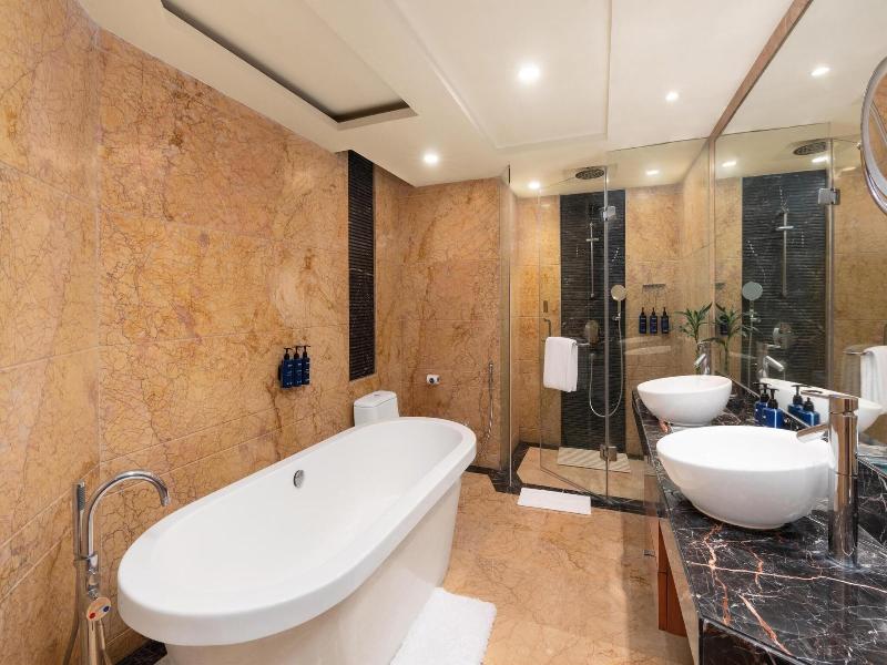 Radisson Blu Plaza Delhi image