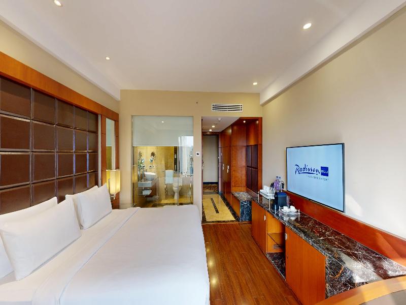 Radisson Blu Plaza Delhi image