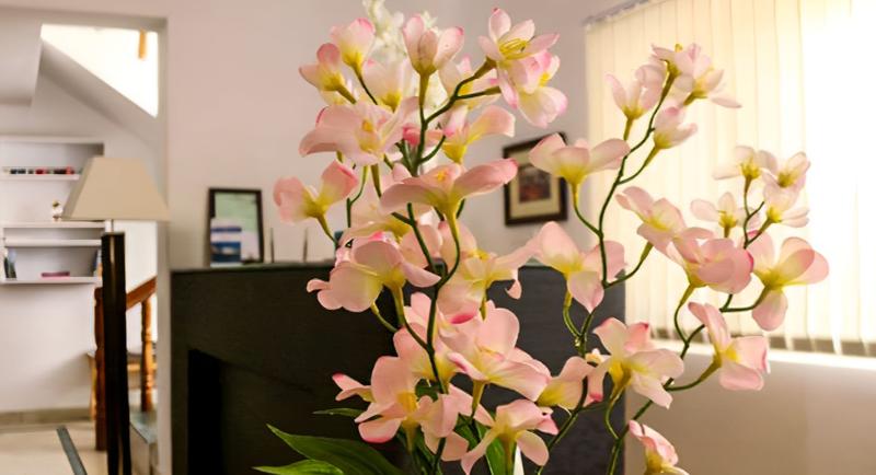 Gomang Boutique Hotel image