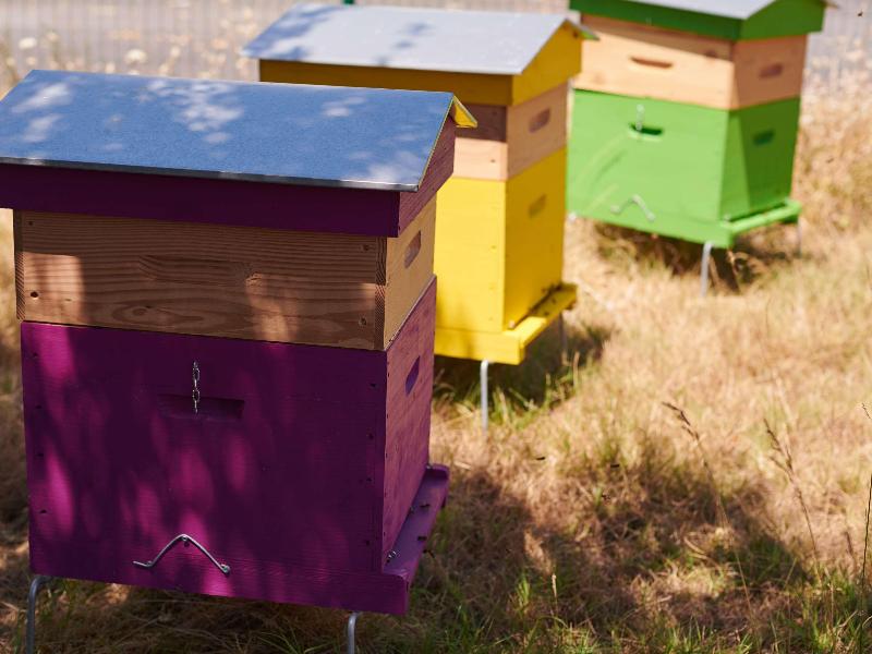 Greet Hotel Saint Nazaire Trignac