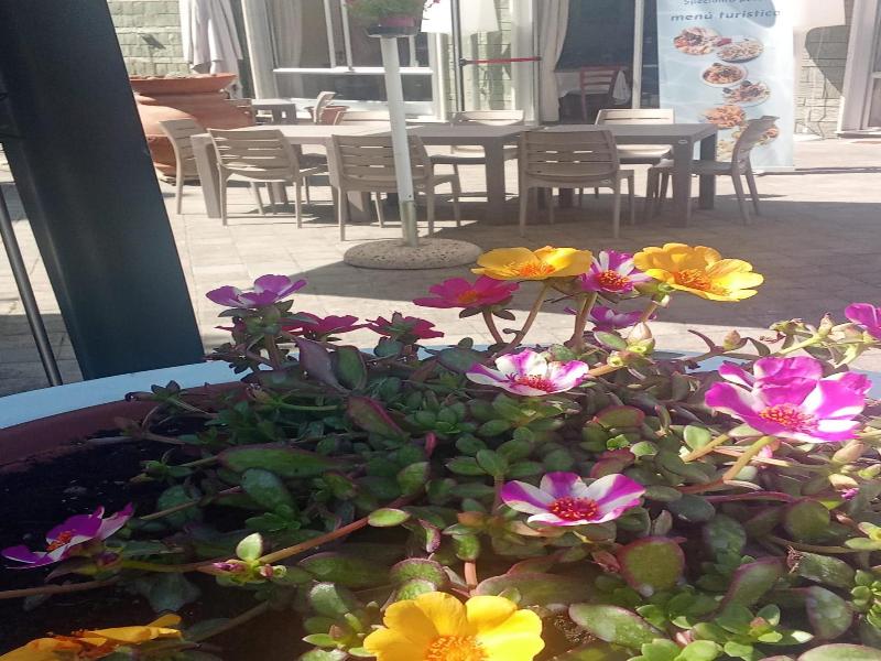 Hotel Adriatico image