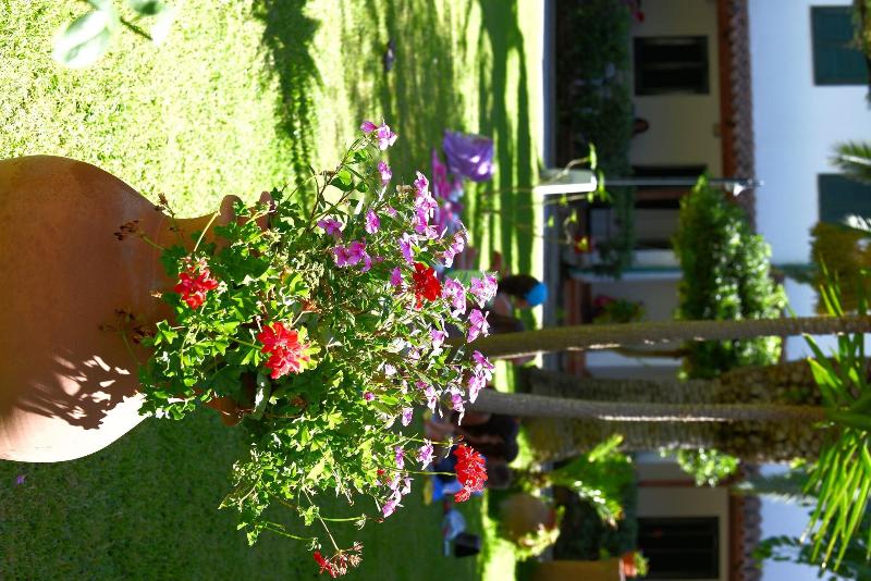 Hotel Residence Sciabache image