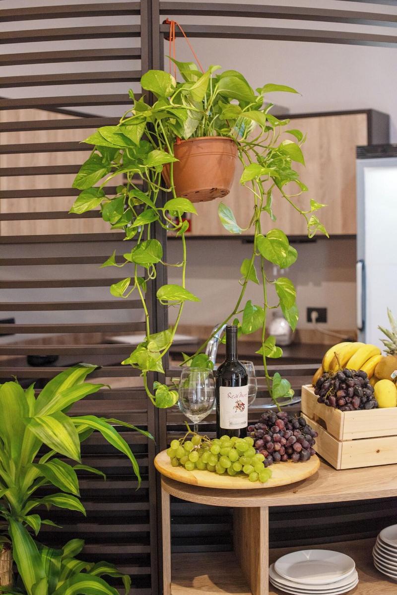 Neapolis Lifestyle image