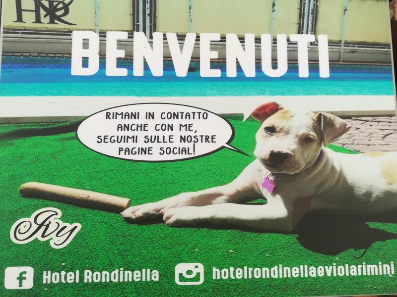 Hotel Rondinella E Viola image