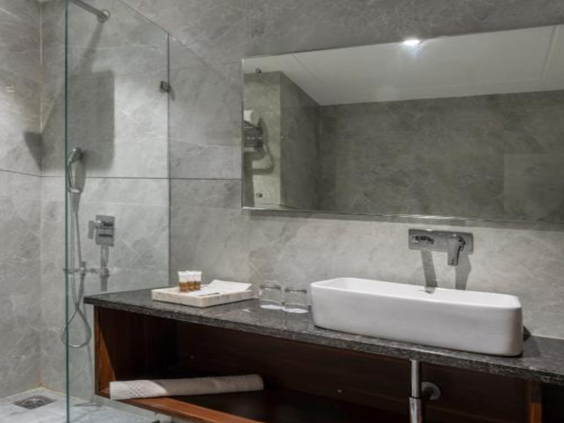 Clarks Inn Suites Agra image