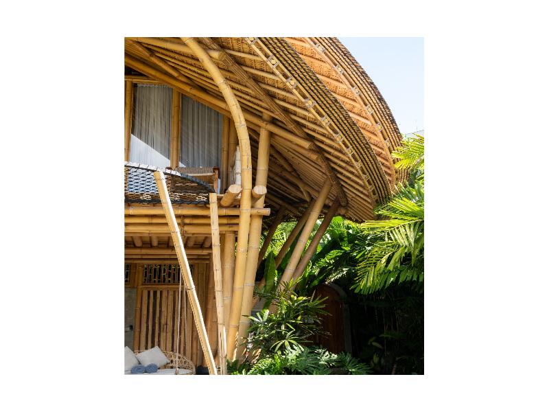 Emana Bambooscape image