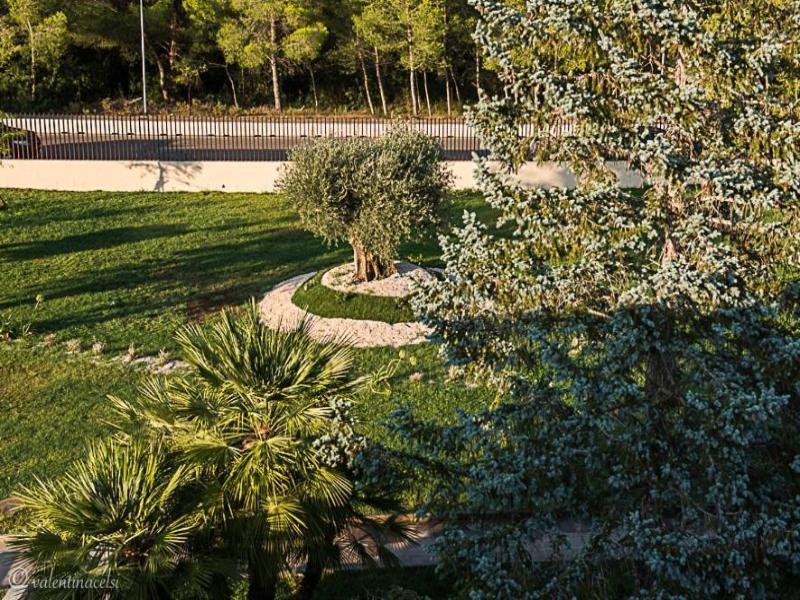 Hotel San Vincenzo Resort image