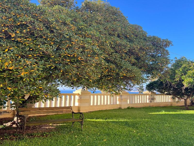 Villa Raffaella image