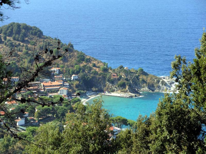 Il Castagno image