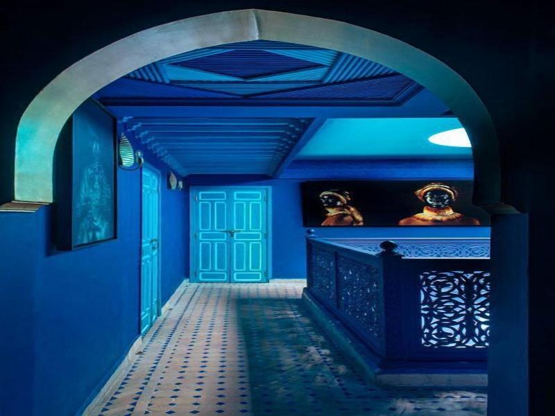 Riad Stella Cadente image