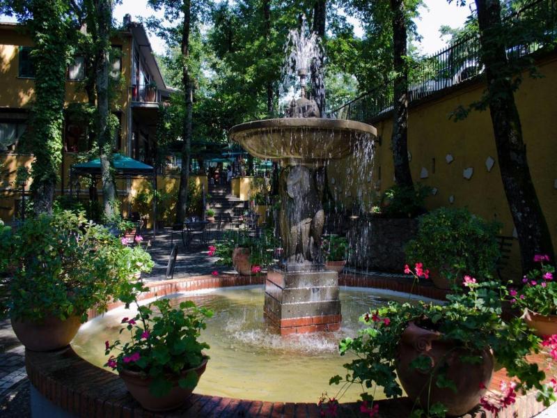 Miralago image
