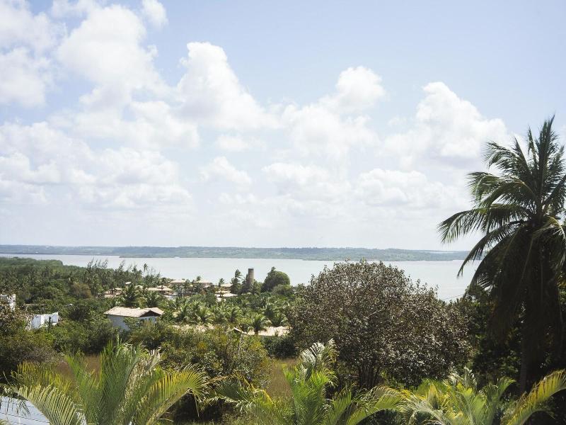 The View Pipa image