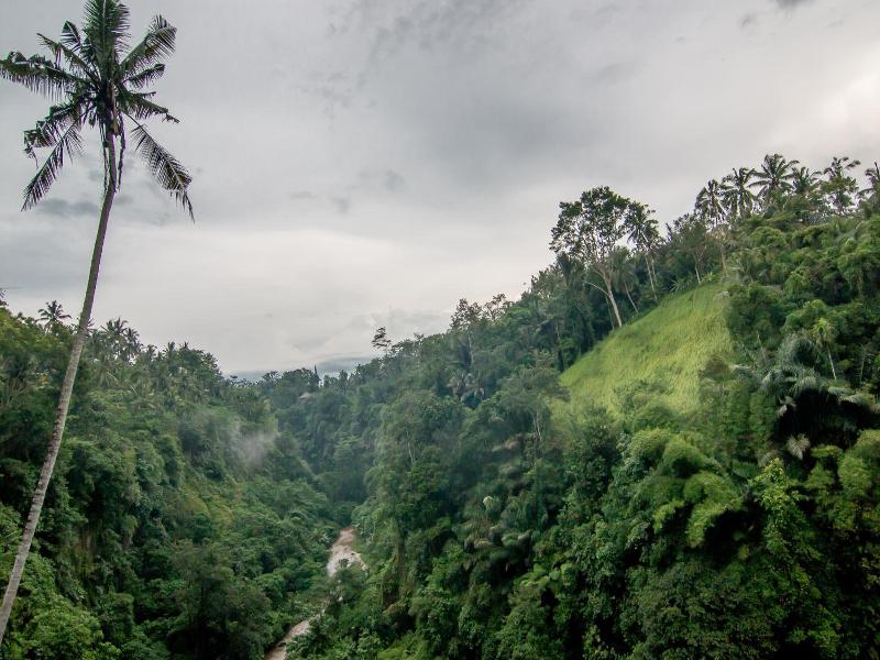 Ulun Ubud Resort And Spa image