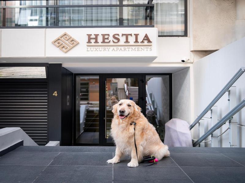 Hestia Dimitressa 4 image