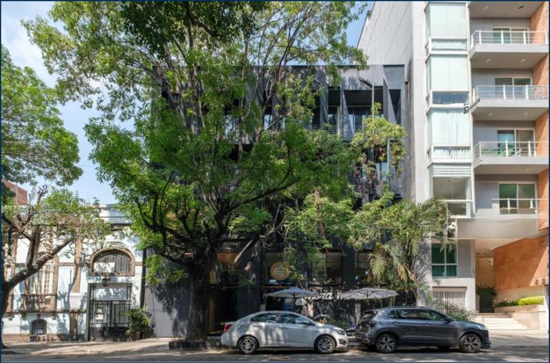 Boga Mexico City By Lumina