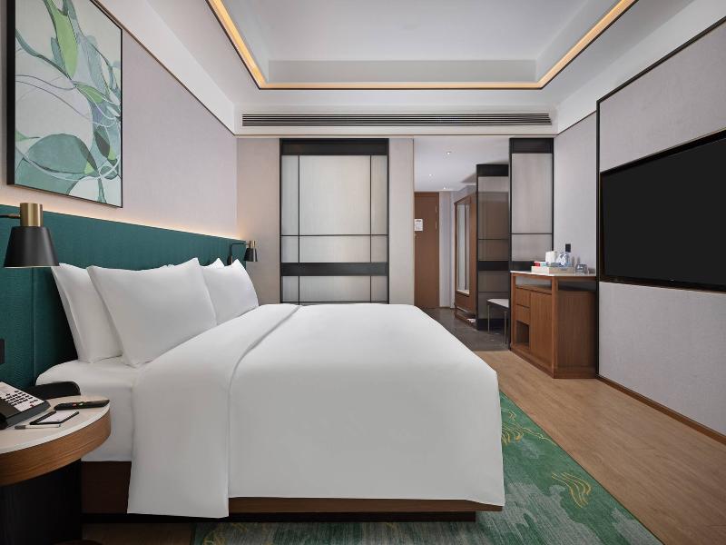 Hilton Garden Inn Leshan Shizhong image
