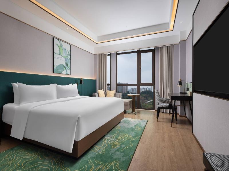 Hilton Garden Inn Leshan Shizhong image 8