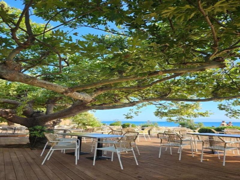 Ninos Grand Beach Hotel Resort image