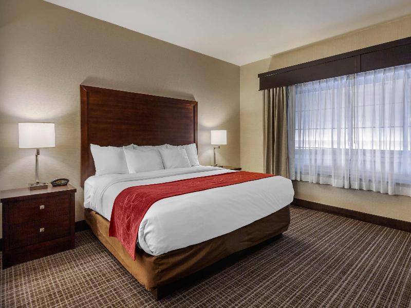 SUITE STANDARD