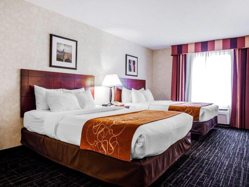 Comfort Suites (Independence) image