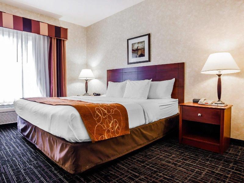 Comfort Suites (Independence) image