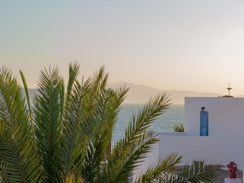 Castle Mansions Naxos image