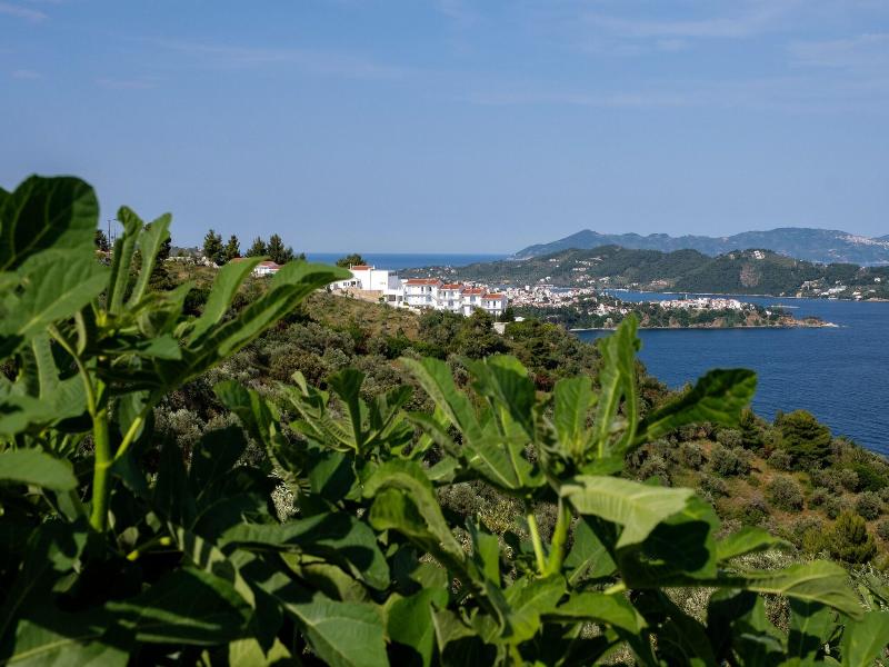 Oniro Skiathos image