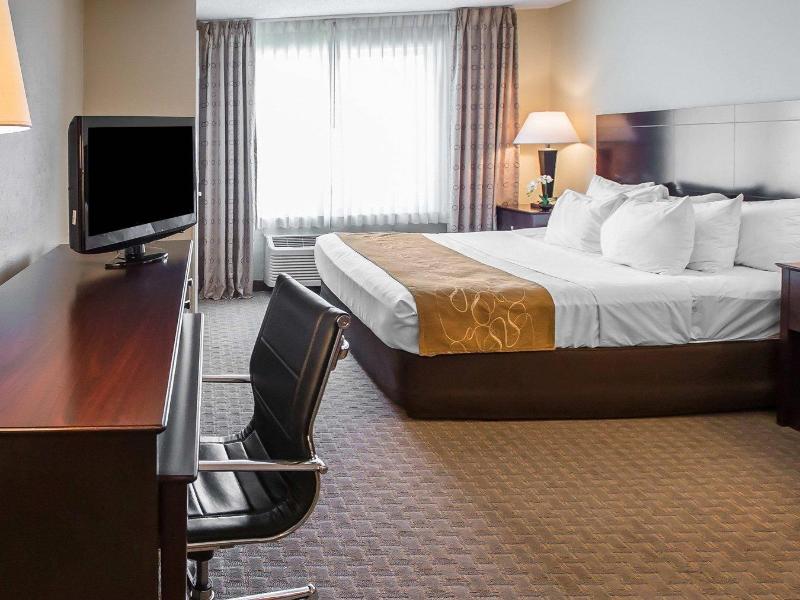 Comfort Suites University Notre Dame South Bend image