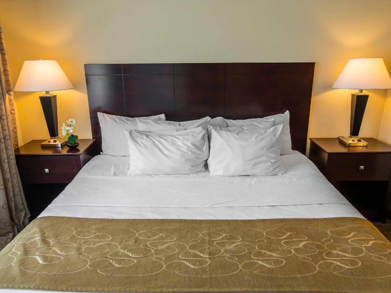 Comfort Suites University Notre Dame South Bend image