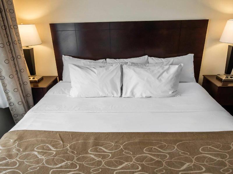 Comfort Suites University Notre Dame South Bend image