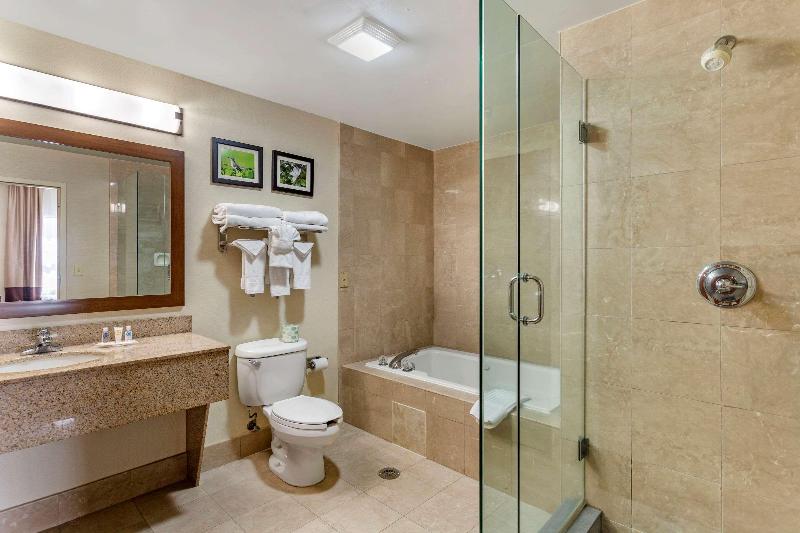 Comfort Suites Southaven - Memphis South image