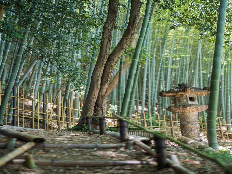 Banyan Tree Higashiyama Kyoto image
