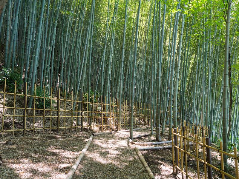 Banyan Tree Higashiyama Kyoto image