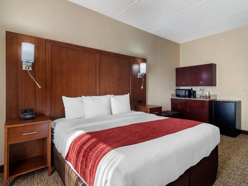 Comfort Suites (Woodstock) image
