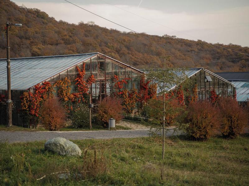 Kiketi Farm Hotel image 9