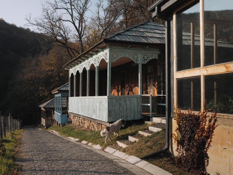 Kiketi Farm Hotel image 5