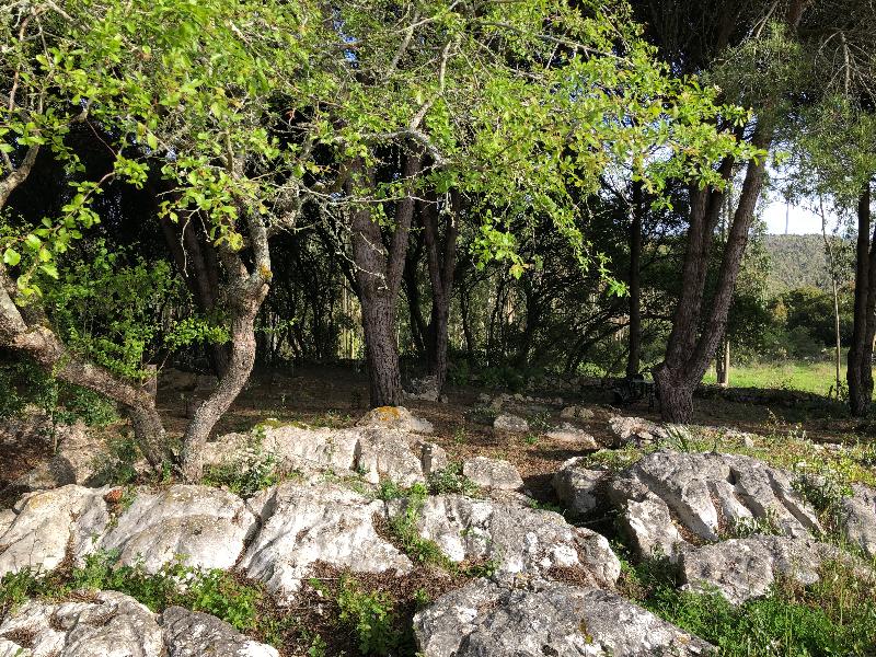 Casal Da Serrana image