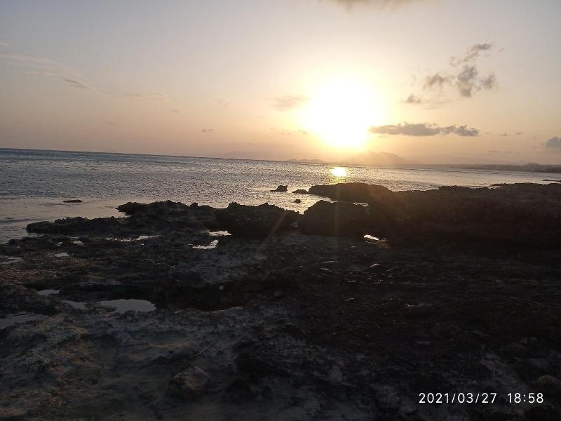 Olimpia image