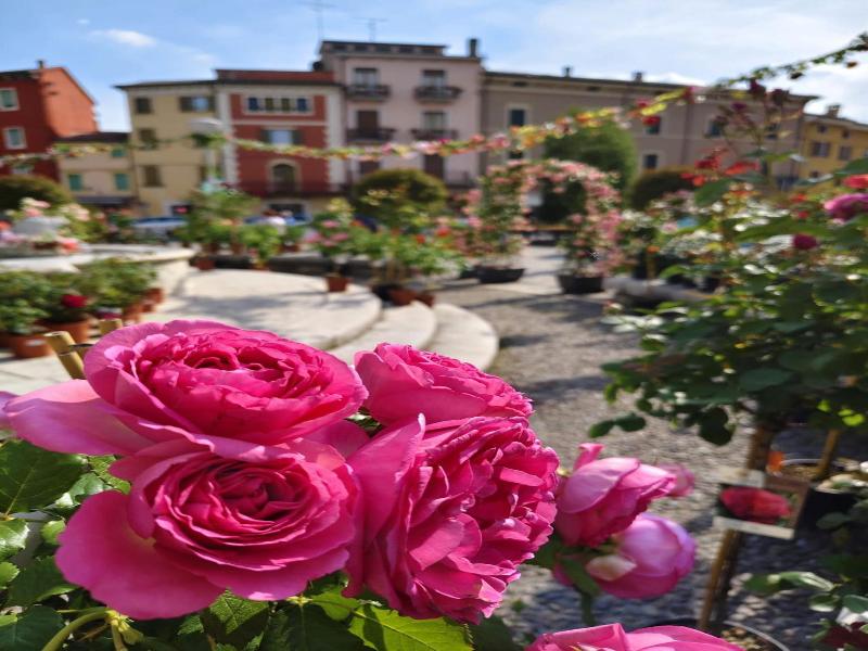Residenza Agnello Da ™oro image