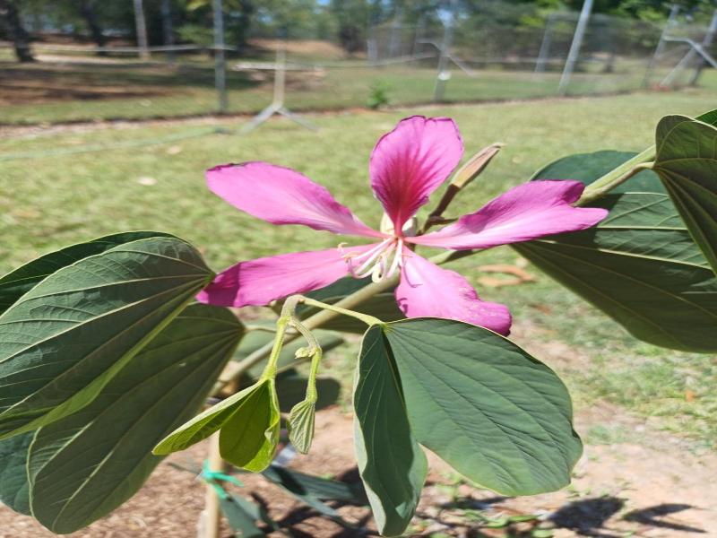Aaok Lakes Resort Caravan Park image