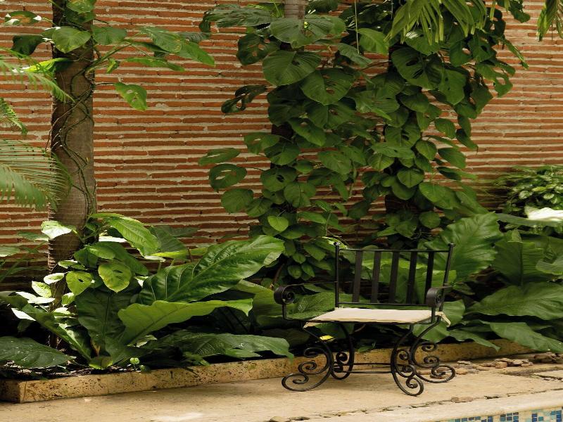 Hotel Boutique Patio Corao image