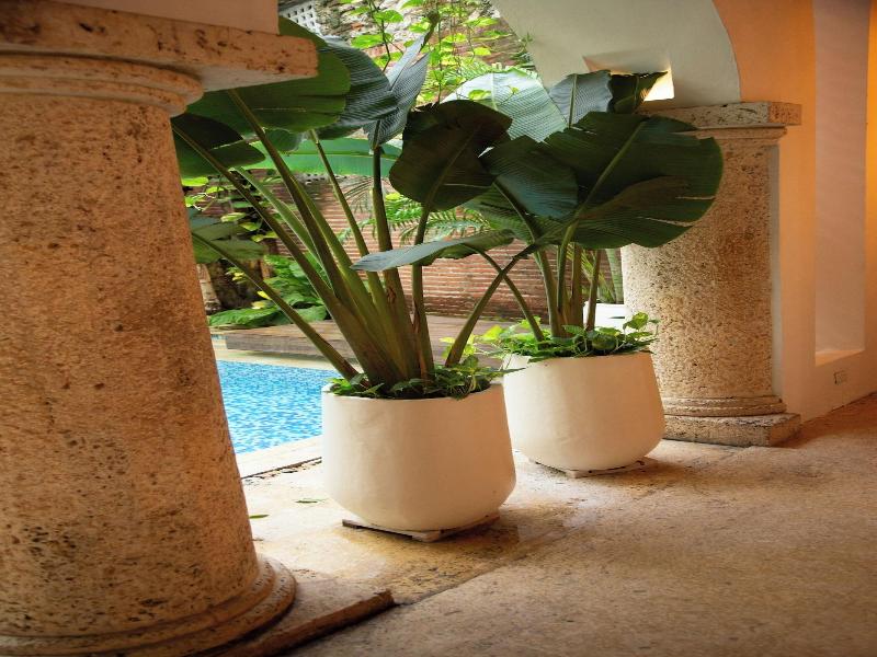 Hotel Boutique Patio Corao image