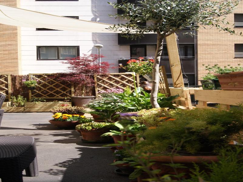 Aloha Hostel image