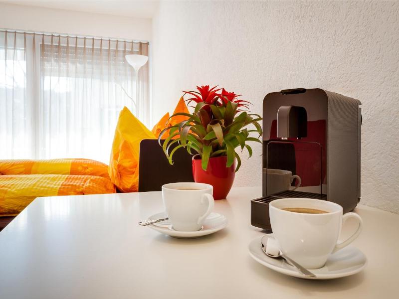 Anstatthotel Luzern Self Check In image