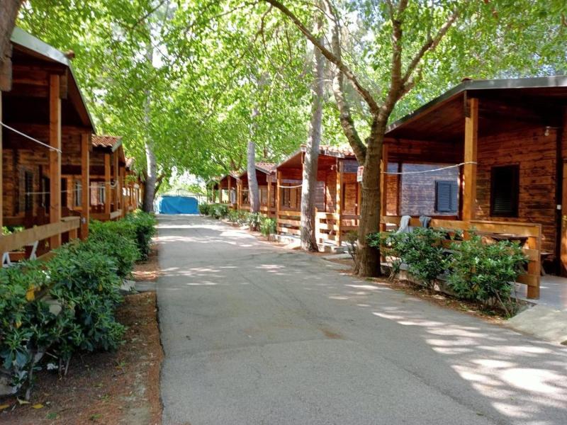 Chalet Viola image