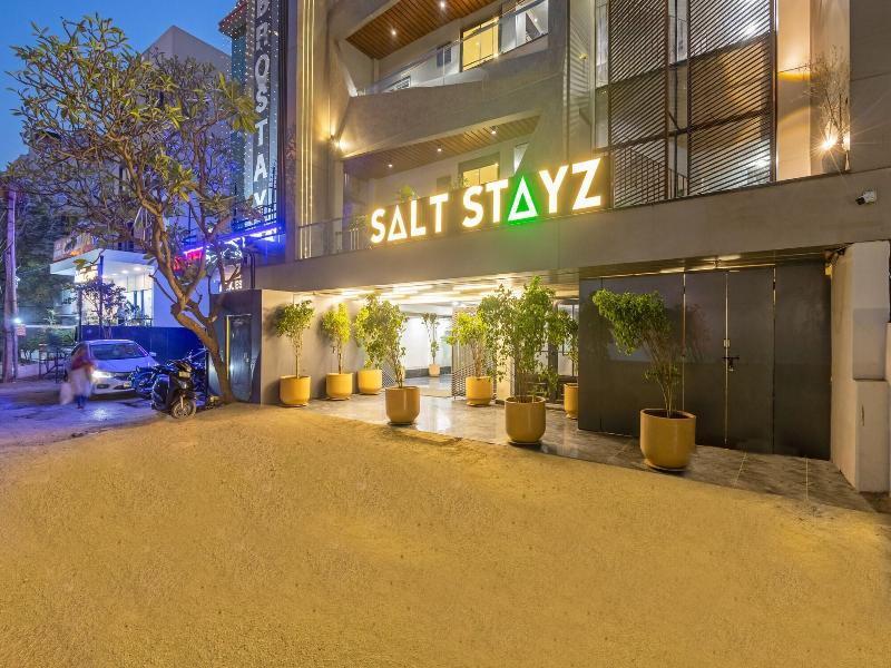 Saltstayz Premier - Paschim Vihar image