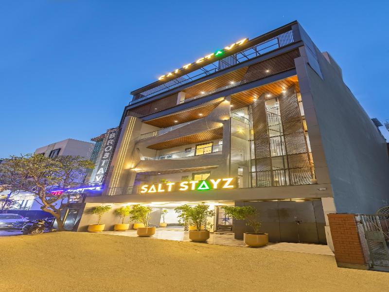 Saltstayz Premier - Paschim Vihar image