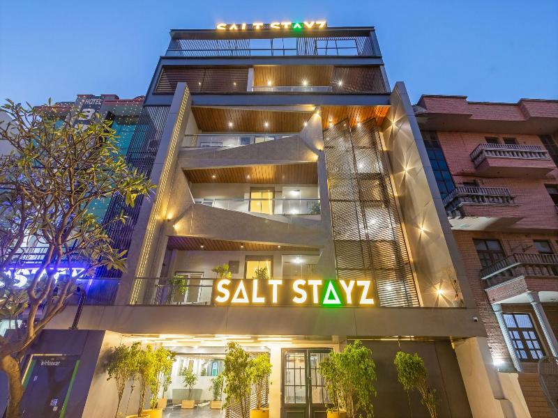 Saltstayz Premier - Paschim Vihar image