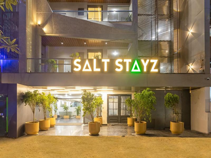Saltstayz Premier - Paschim Vihar image