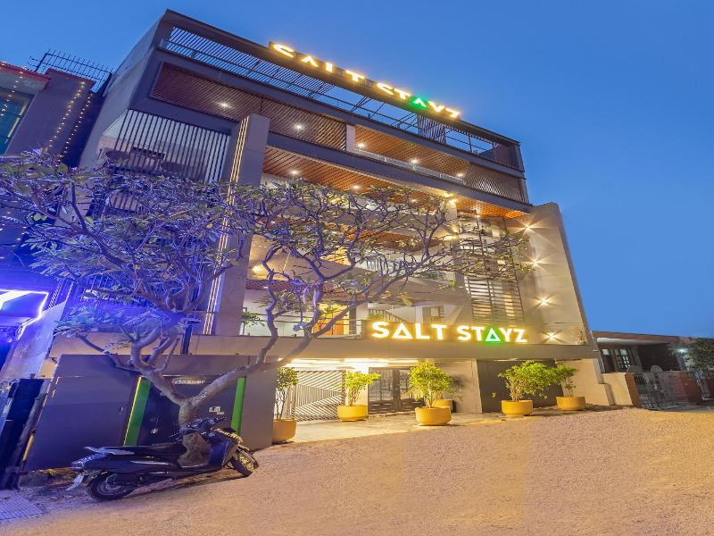 Saltstayz Premier - Paschim Vihar image
